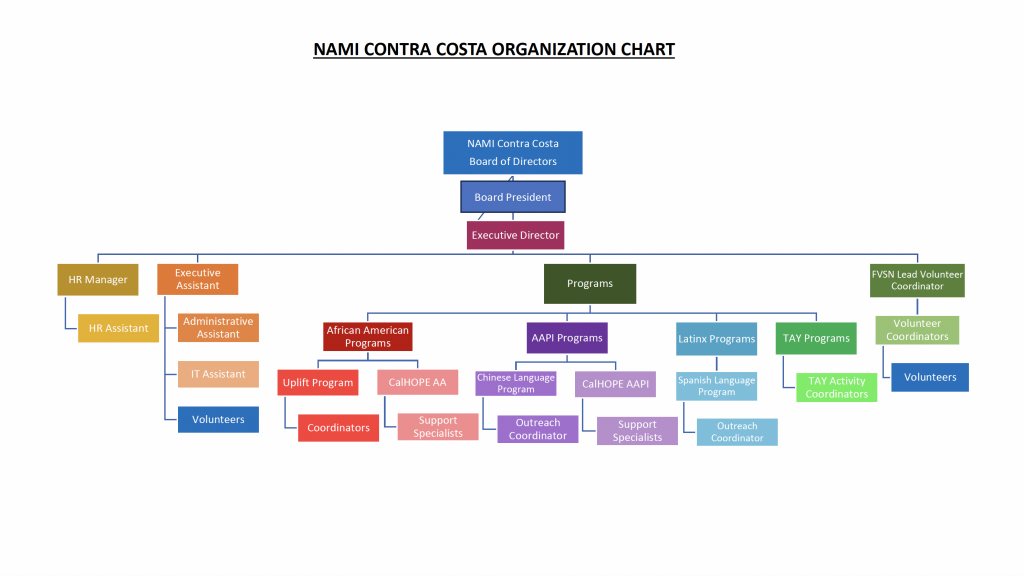 nami cc's organizational structure